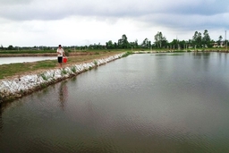 880 ha trồng lúa kém hiệu quả được chuyển đổi sang nuôi trồng thủy sản
