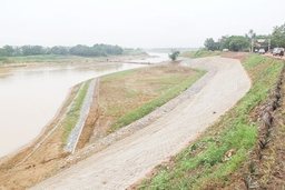 Dự án xử lý khẩn cấp đê tả sông Chu qua xã Thọ Minh hoàn thành vượt tiến độ