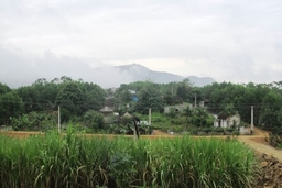 Làng thanh niên lập nghiệp Sông Chàng: Bài 1 - Hàng chục ngôi nhà bỏ hoang