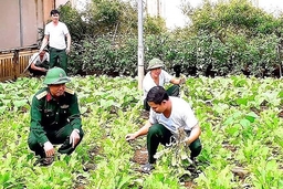 Ban Chỉ huy Quân sự Cẩm Thủy xây dựng đơn vị vững mạnh toàn diện