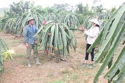 Nâng cao hiệu quả công tác giám sát và phản biện xã hội