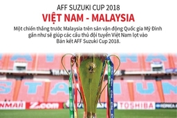 Thông tin thú vị trước thềm trận quyết đấu Việt Nam và Malaysia