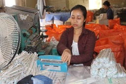 Chuyển biến trong thực hiện các tiêu chí nông thôn mới
