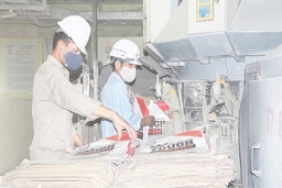 Các nhà máy xi măng trong tỉnh sản xuất được 12,7 triệu tấn