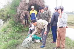 Mạnh tay xử lý tình trạng bẫy, bắt chim hoang dã trên địa bàn TP Thanh Hóa