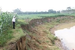 Xã Thiệu Nguyên mất thêm khoảng 5.000 m2 đất bãi do sạt lở
