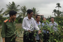 Thẩm định đạt chuẩn nông thôn mới năm 2018 cho các xã Tân Ninh, Trường Minh, Trường Trung