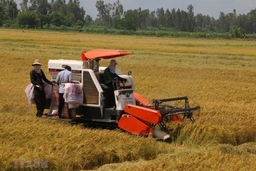 70% lao động nông thôn chưa được học nghề, ít người có chứng chỉ