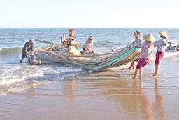 Phát huy hiệu quả “Tổ đồng quản lý nghề cá ven bờ”