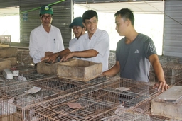 Khó khăn trong duy trì, nâng cao chỉ tiêu tỷ lệ người dân tham gia bảo hiểm y tế ở các xã sau đạt chuẩn nông thôn mới