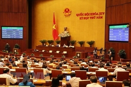 10 Luật sẽ có hiệu lực thi hành từ ngày 1/1/2019
