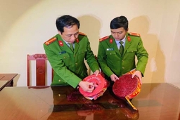 Bắt giữ 4 kg pháo cối do Trung Quốc sản xuất