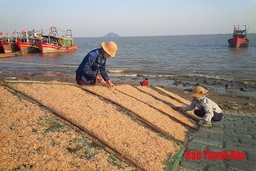 Phát triển nghề chế biến hải sản ở xã Ngư Lộc