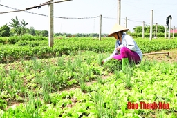 Huyện Thạch Thành chăm lo phát triển đảng viên khu vực nông thôn