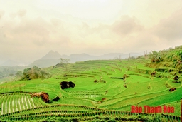 Tạo cơ chế khuyến khích doanh nghiệp đầu tư phát triển du lịch: Thực trạng và tiềm năng du lịch xứ Thanh