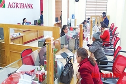 Agribank Chi nhánh Bắc Thanh Hóa: Đồng hành, gắn kết đi đến thành công