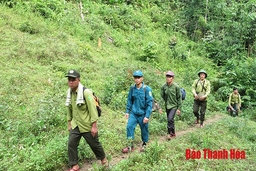 Sâu thẳm nơi đại ngàn Pha Phanh