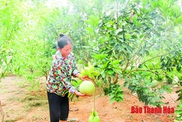Chính sách dân tộc giúp miền Tây xứ Thanh thoát nghèo