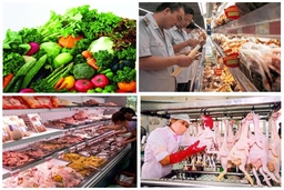 Qua hơn 2 năm thực hiện Nghị quyết số 04-NQ/TU: Tạo chuyển biến về công tác bảo đảm vệ sinh an toàn thực phẩm