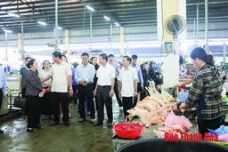 Phát huy vai trò giám sát của HĐND thành phố