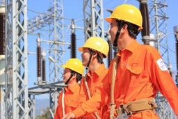Công ty Điện lực Thanh Hóa thông báo về việc cấp điện và sử dụng điện trong dịp Tết Nguyên đán Kỷ Hợi 2019