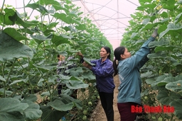 Huyện Thọ Xuân: 10 mô hình được hỗ trợ từ kinh phí chương trình xây dựng nông thôn mới