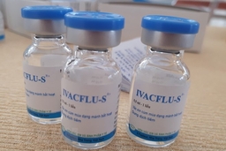 Đã có thể cung ứng vắcxin cúm mùa của Việt Nam ra thị trường