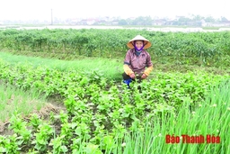 Vụ đông và quá trình chuyển từ “lượng” sang “chất”