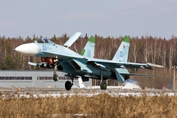 Chiến đấu cơ Su-27 của Nga đánh chặn máy bay trinh sát Thụy Điển