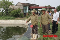 Quan tâm bồi dưỡng lý luận chính trị cho cán bộ, đảng viên