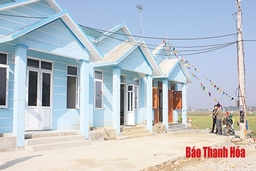 Ấm áp những ngôi nhà làng chài