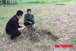 Hoang mang những hố sụt lạ