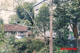 Ông Lê Văn Việt, xã Xuân Thọ được hưởng chế độ hỗ trợ nhà ở đối với người có công với cách mạng là đúng quy định