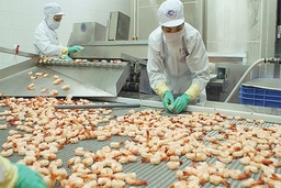 Năm 2019, xuất khẩu tôm đặt mục tiêu lớn