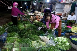 Nguồn cung hàng hóa dồi dào, duy trì ổn định thị trường sau Tết