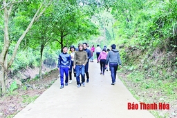 Chuyện lễ hội đầu năm