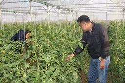 Huyện Đông Sơn: Xây dựng được 23 chuỗi cung ứng thực phẩm an toàn