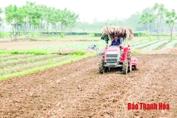 Huyện Triệu Sơn đẩy mạnh cơ giới hóa trong sản xuất nông nghiệp