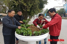 Tập trung xây dựng phường kiểu mẫu