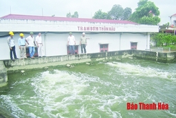 Hậu Lộc: Khắc phục tình trạng nhiễm mặn, cung cấp nước ngọt cho cây trồng