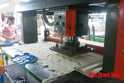 Nâng cao hiệu quả quản lý nhiệm vụ khoa học và công nghệ cấp cơ sở