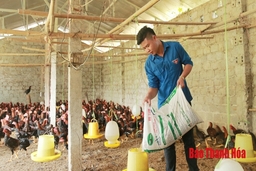 Hợp tác xã Hán - Sơn - Dương , mô hình thanh  niên khởi nghiệp từ sức trẻ