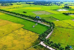 UBTV Quốc hội xem xét thông qua nghị quyết về sáp nhập huyện, xã giai đoạn 2019 - 2021