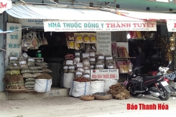 Kiểm tra, giám sát chất lượng dược liệu