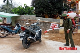 Thêm 1 xã ở huyện Đông Sơn xuất hiện bệnh dịch tả lợn Châu Phi