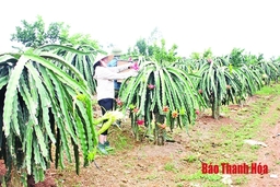 Nâng cao năng lực lãnh đạo, sức chiến đấu của tổ chức cơ sở đảng ở thị xã Bỉm Sơn