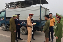 Tăng cường kiểm soát vận chuyển trái phép lợn và sản phẩm từ lợn trên địa bàn tỉnh