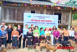 Trao giống vật nuôi cho phụ nữ nghèo ở xã biên giới Yên Khương