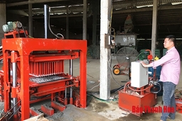 Những thanh niên lập nghiệp trên vùng đất khó