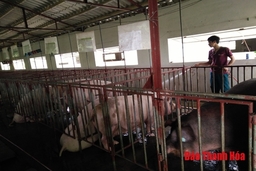 Tín dụng ưu đãi, đánh thức khát vọng khởi nghiệp của thanh niên